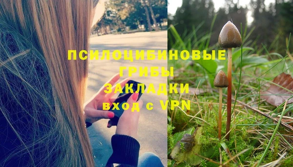 крисы Алзамай
