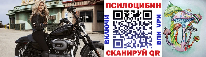 hydra как зайти продажа наркотиков Навашино Псилоцибиновые грибы Psilocybine cubensis